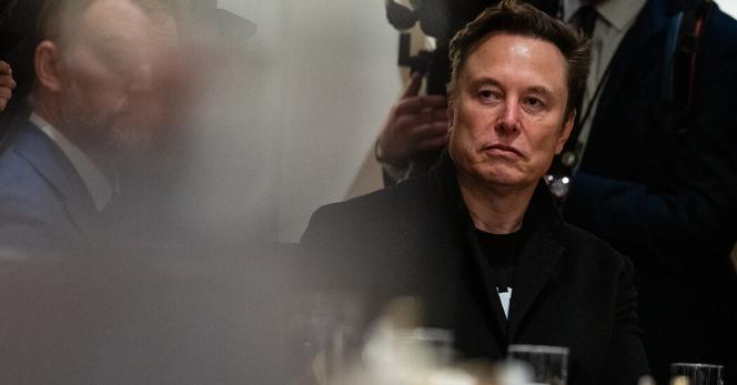 Elon Musk during a cabinet meeting at the White House last month.