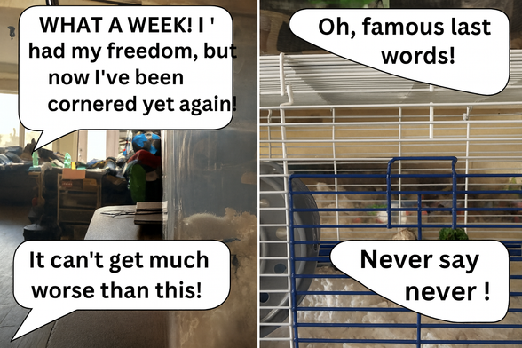 Posted media